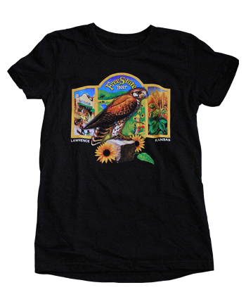 Women's Falcon T-Shirt